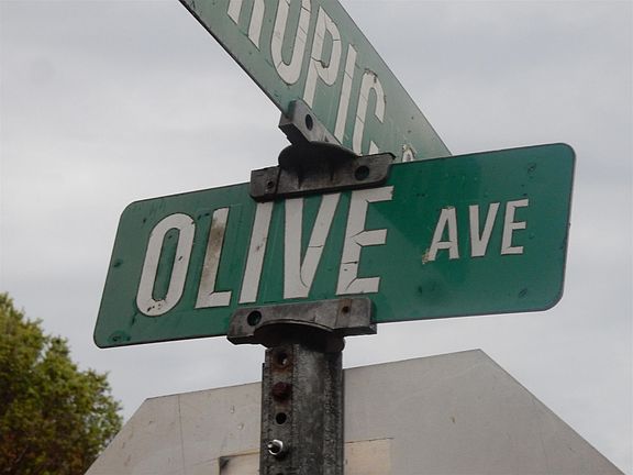 5th image of 704 Olive Ave