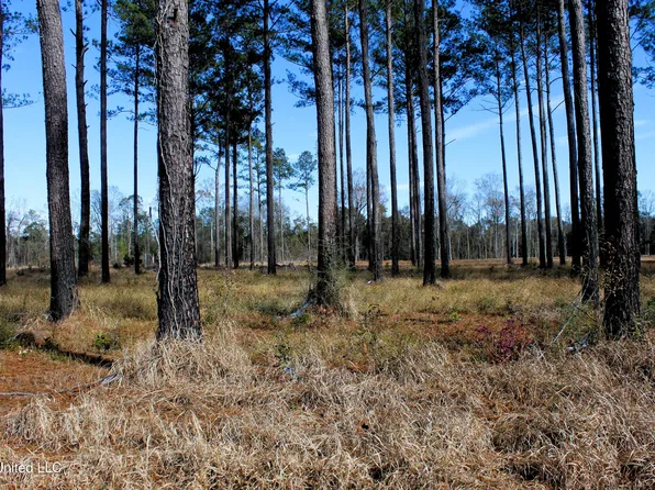 Basin Central Rd, Lucedale, MS 39452