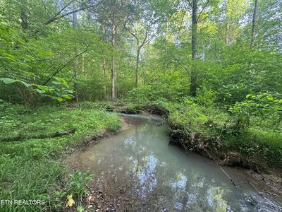 1440 Dry Fork Valley Rd, Ten Mile, TN, 37880