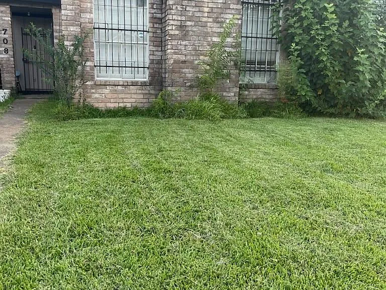 708 Carol Lynn Dr — Photo 2