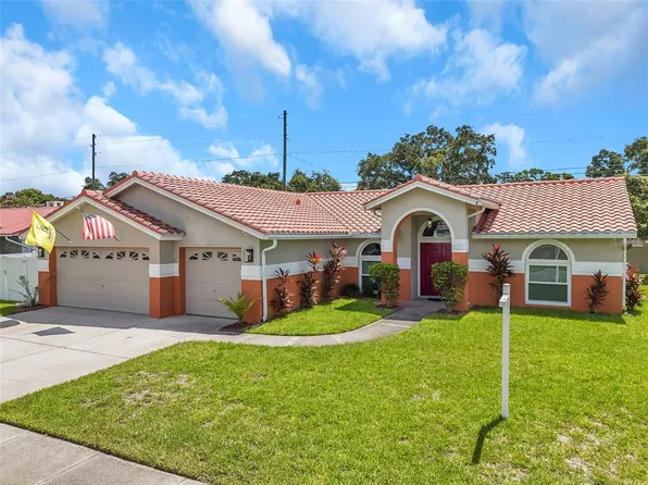 310 Osprey Ln, Palm Harbor, FL 34683