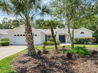 26041 Glen Eagle Dr, Leesburg, FL 34748
