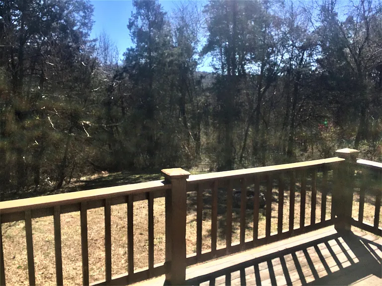 Wooded view from deck off kitchen