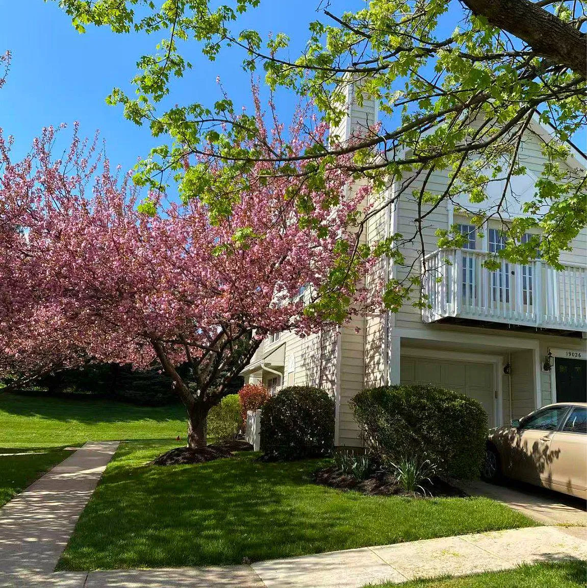 3 bed, 1.0 bath, 1598 sqft, $2,800 — Photo 4