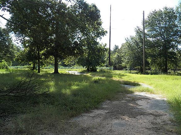 View going down your drive out to Old Houston rd.