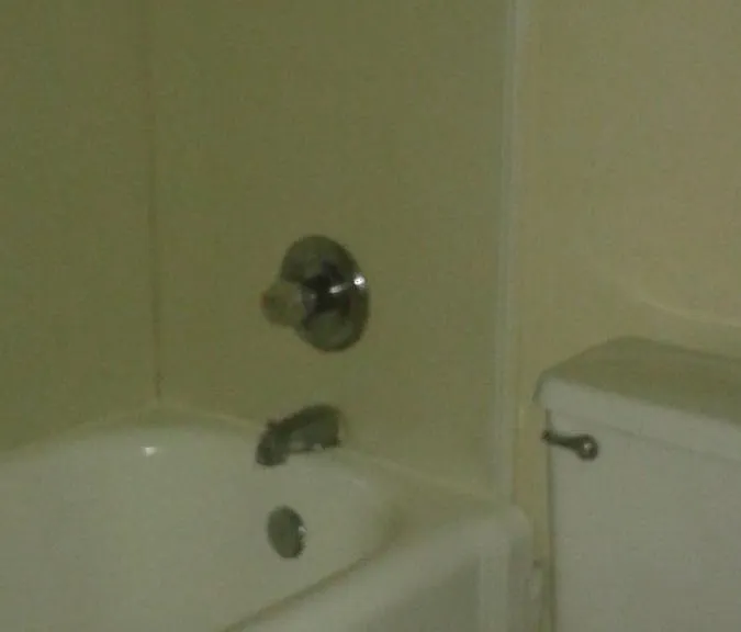 Downstairs Bath