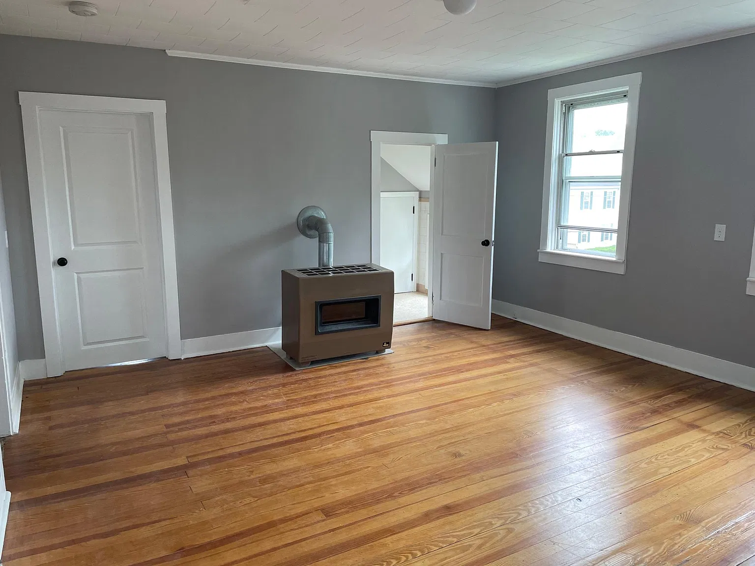 31 Wilcox St — Photo 3