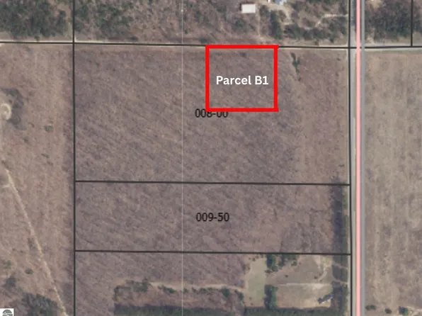 PARCEL B1 Peterson Rd, Mancelona, MI 49659