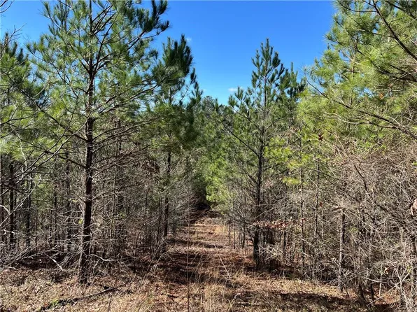 341 Wilderness Camp Rd SE Lot 25, White, GA 30184