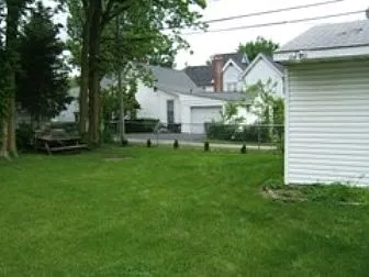 back yard