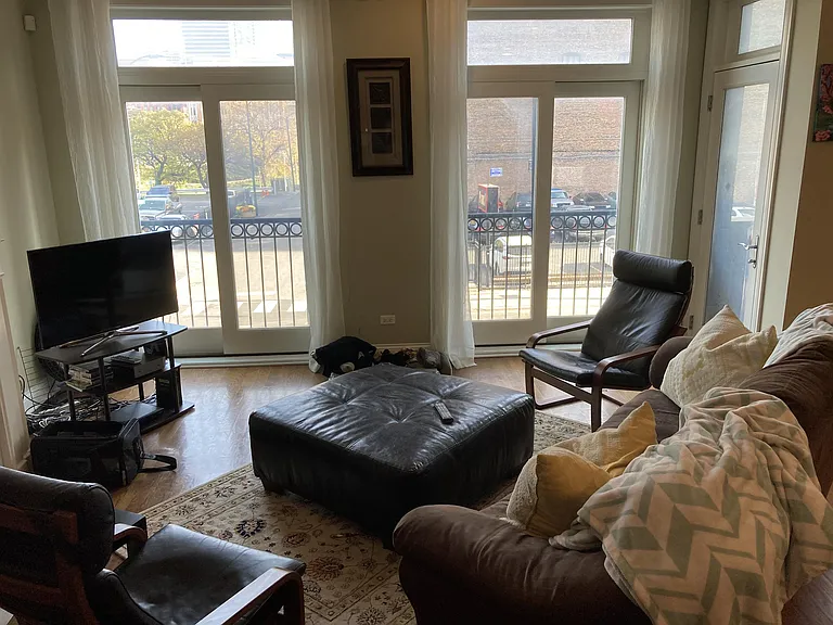 212 N Halsted St #2 — Photo 10