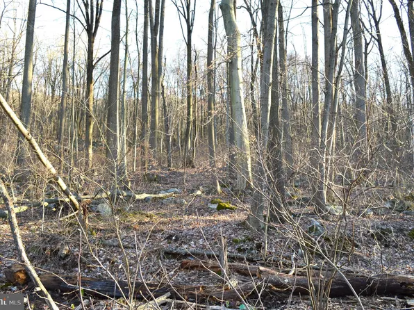 0 State Rd, Duncannon, PA 17020
