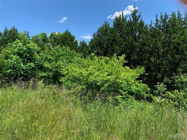 0 Old Rte #21, Hillsboro, MO 63050