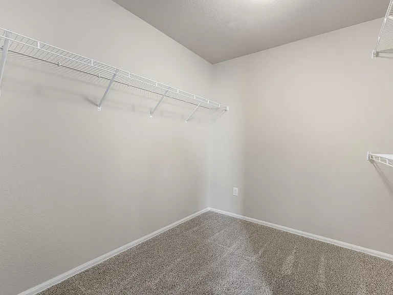 Large primary walk-in closet