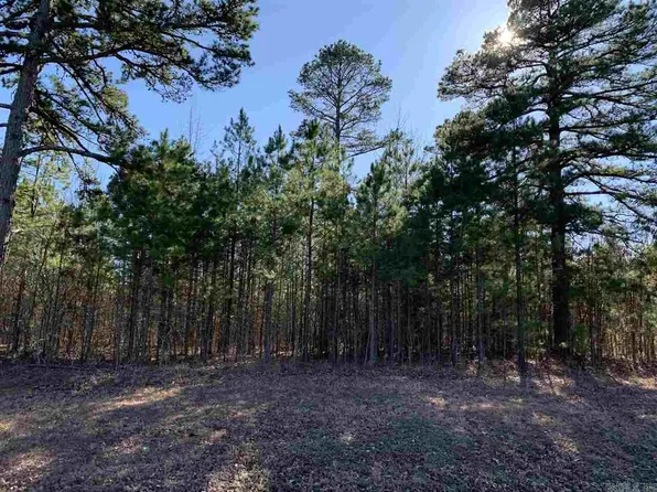 89 Watersedge Ln, Edgemont, AR 72044