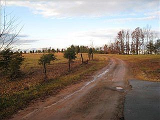 4th image of 920 Sunshine Acres