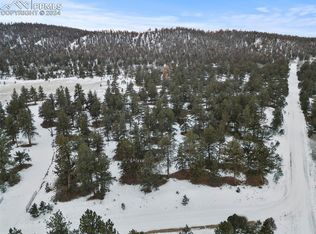 3948 S Muley Gulch Dr, Hartsel, CO 80449