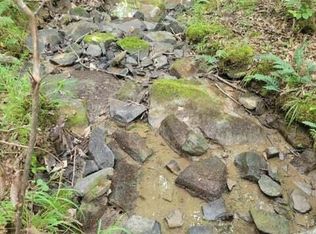 301 No Name Dr, Dunlap, TN 37327