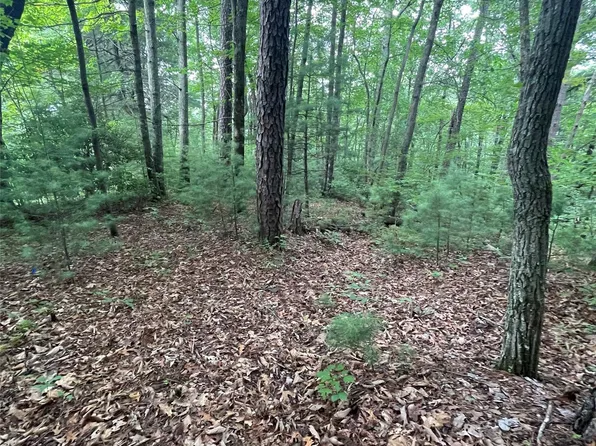 106 Red Mulberry Dr, Zirconia, NC 28790