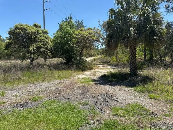 5032 W Field St, Homosassa, FL 34446