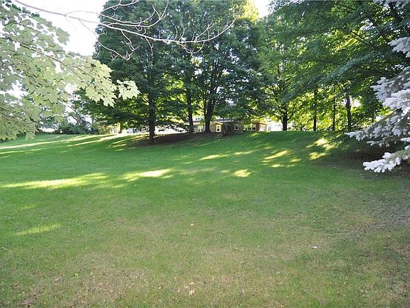 BACK YARD LOOKING AT HOUSE