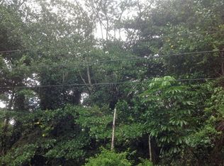 29th Ave LOT 573, Keaau, HI 96749