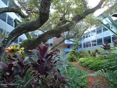 240 Hammock Shore Dr APT 302, Melbourne Beach, FL, 32951