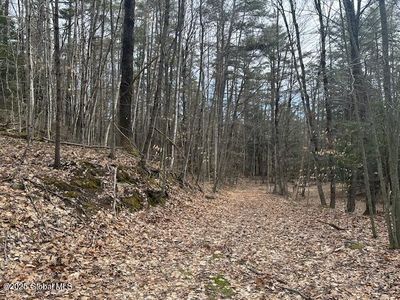 L38.3 Valley Woods Road, Bolton Landing, NY, 12814