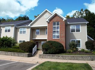 1003 E Duncan St, Manchester, MI 48158