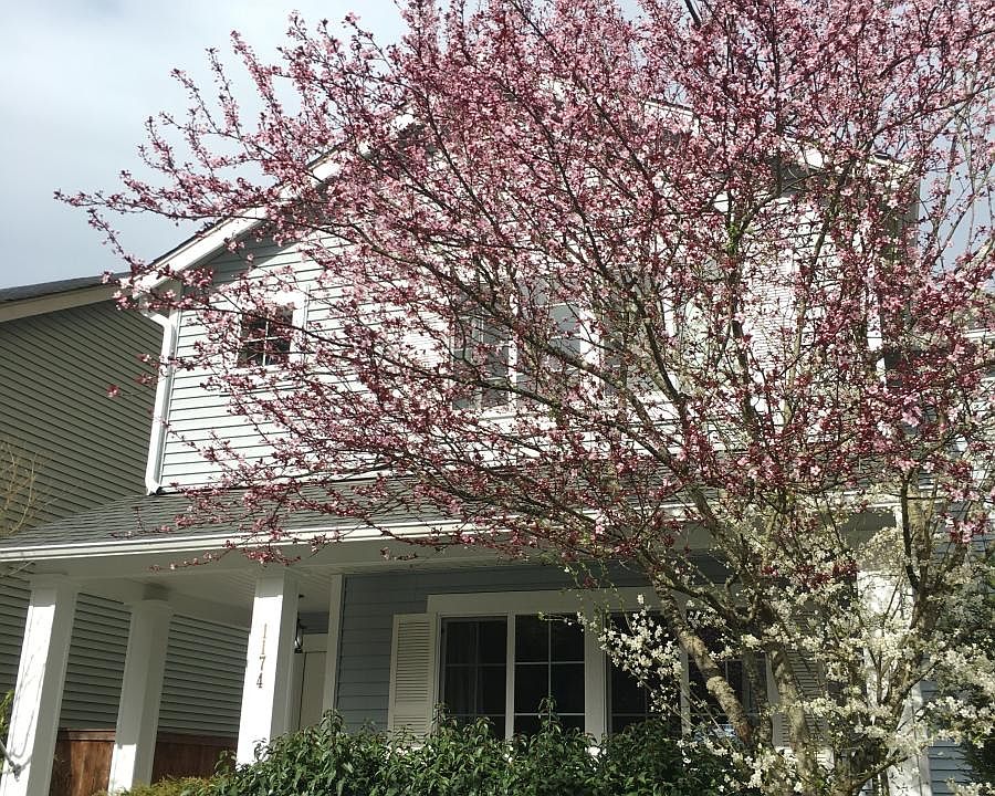 House Exterior