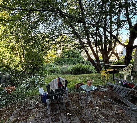 A bit of the backyard