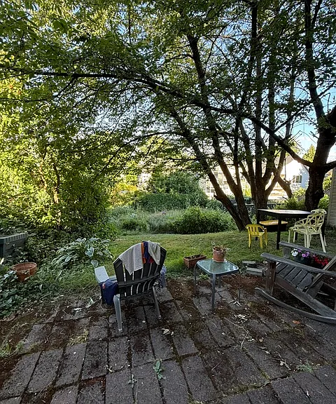 A bit of the backyard