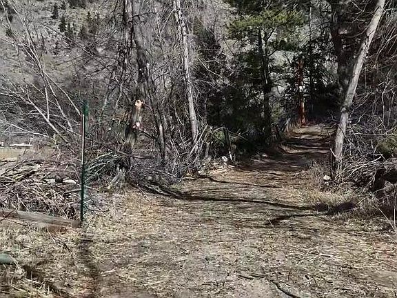 3rd image of 14 Sly Fox Rd