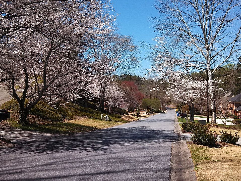 Street view in spring