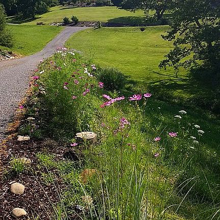 Outside garden on three acres 