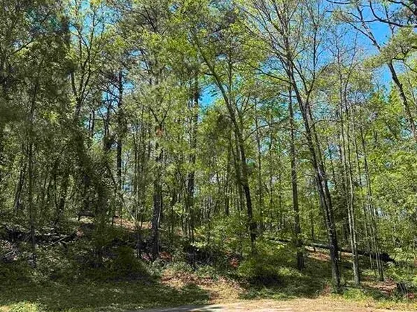 LOT 5 Alexander Way, Fort Valley, GA 31030