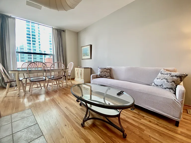 910 S Michigan Ave #1308 — Photo 11