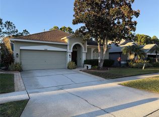 12507 Blazing Star Dr, Tampa, FL 33626