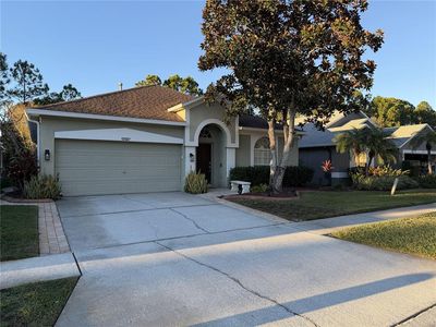 12507 Blazing Star Dr, Tampa, FL, 33626