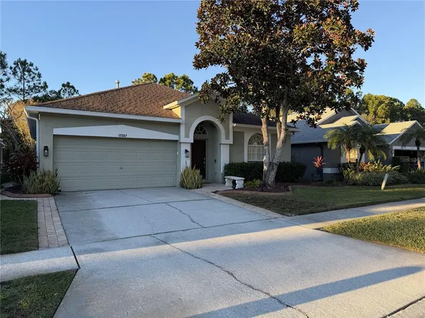12507 BLAZING STAR DRIVE, TAMPA, FL 33626