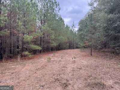 Daisy Walker Way, Tennille, GA, 31089