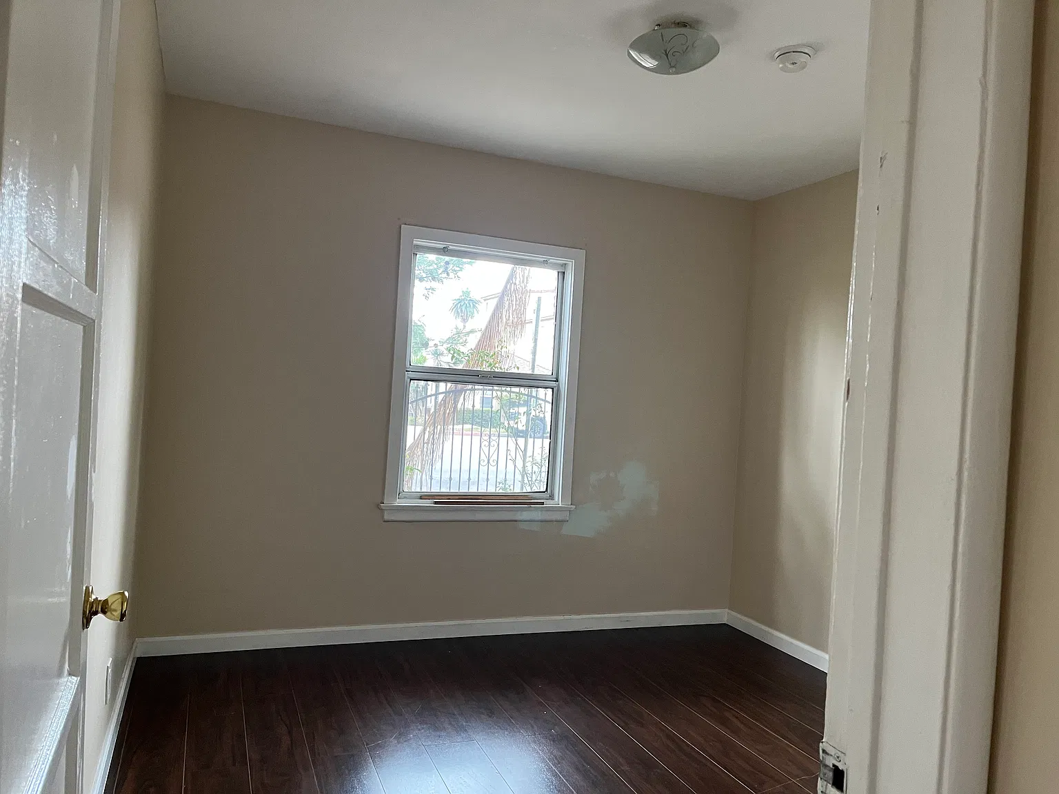 1 bed, 550 sqft, $1,600 — Photo 3