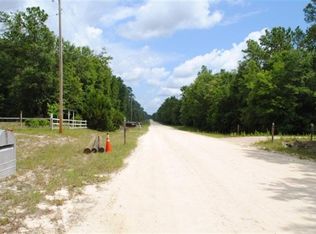 2041 SW Loncala Loop, Fort White, FL 32038