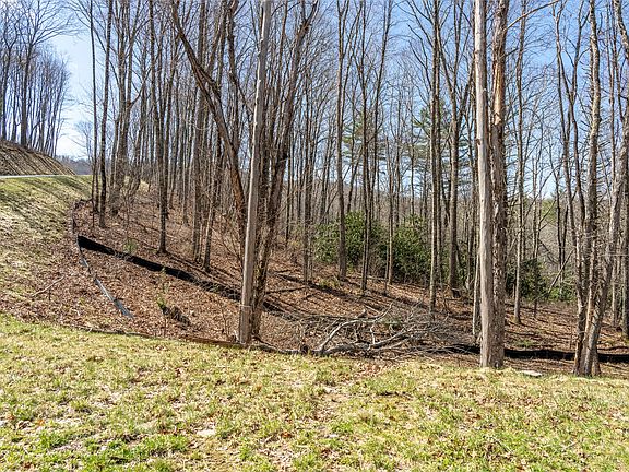 2nd image of C20 Roaming Road