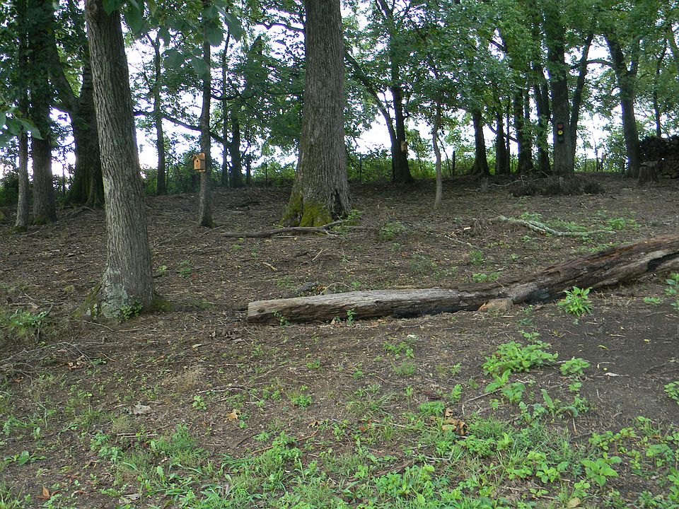 2nd image of 2023 McCleary Rd