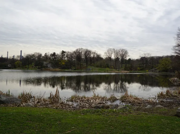 1255 5th Avenue image 14 of 16