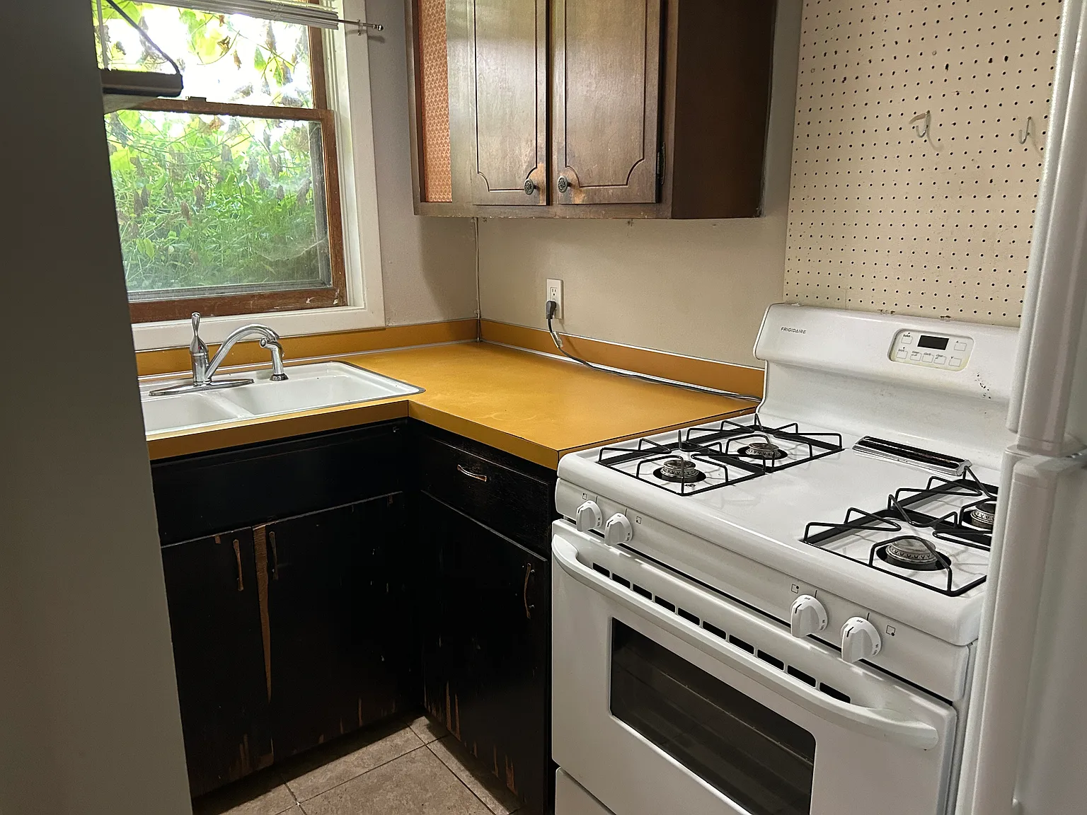 1 bed, $795 — Photo 4