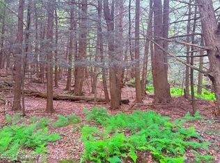 Campsite Rd, Thompson, PA 18465