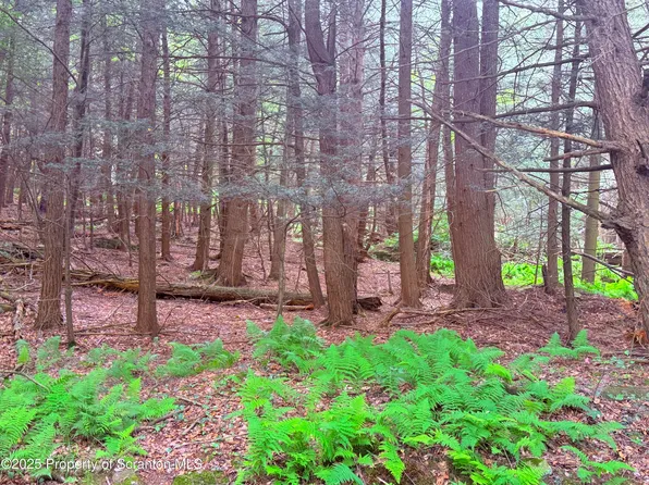 Campsite Rd, Thompson, PA 18465
