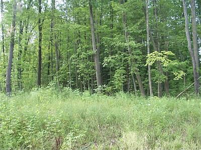 Near County Line Road